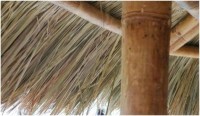Met de bamboe als steun is dit een heel sterk dak van riet.